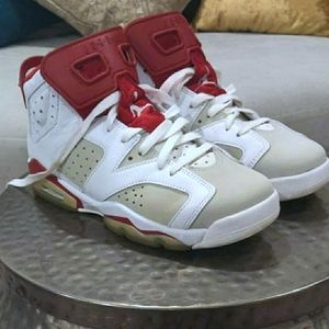 Jordan 6 Retro Alternate